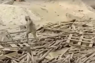 Video: una mujer sobrevive a un alud en Perú