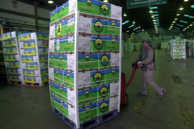 México aceptaría el ingreso de limón tucumano a ese mercado