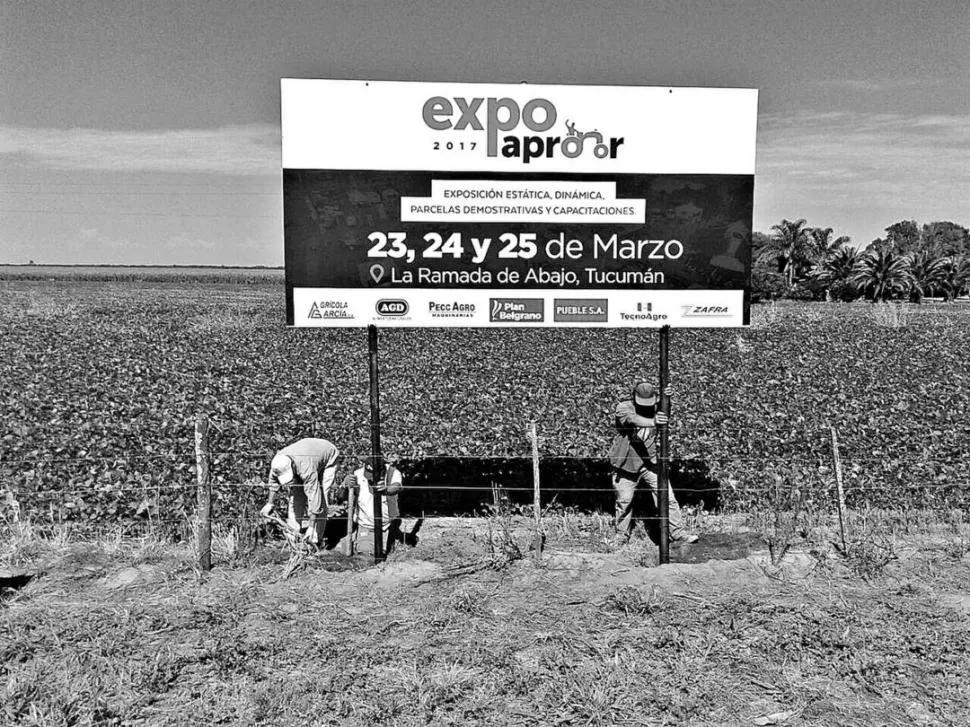 MUESTRA A VISITAR. Productores y obreros trabajan sin descanso para que el jueves, en la inauguración, el predio muestre todo su esplendor y potencial.  