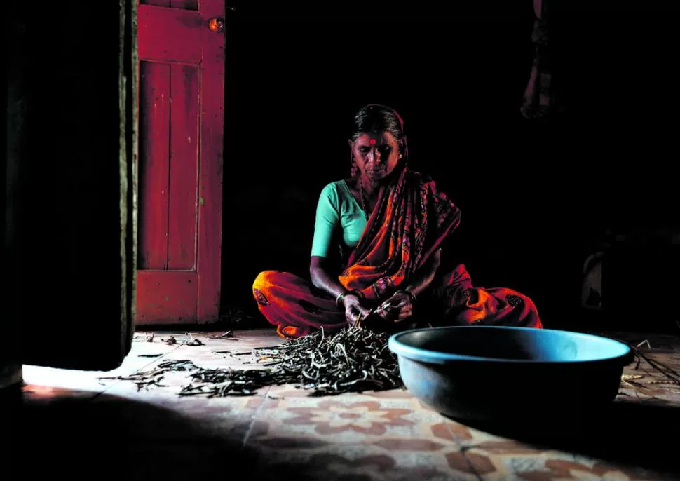 reivindicación. “La India irradia su idiosincrasia, la de un pueblo capaz de asimilar invasión tras invasión, sin perder identidad”, puntualiza Sánchez Sorondo. credito