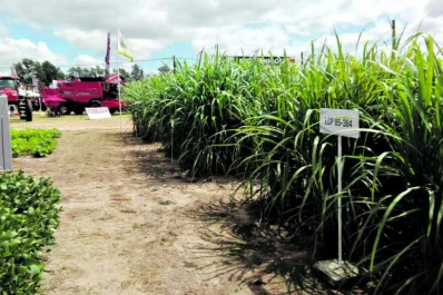 Conferencias dinámicas y stands se encuentran en Expo Apronor 2017