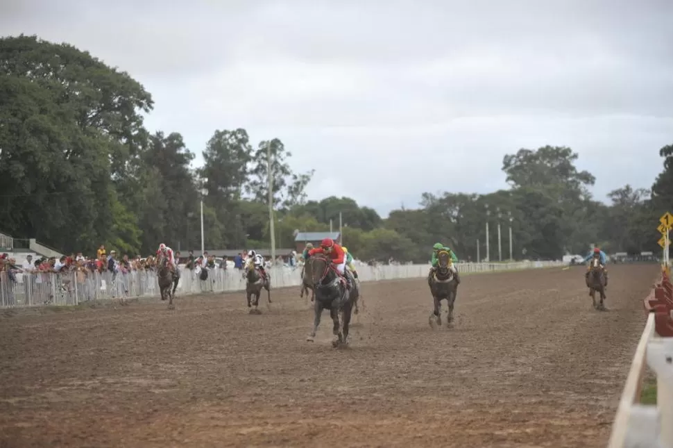 NOTABLE VICTORIA. Wave Sam, con la monta de Gonzalo Acosta, se adjudicó la prueba reservada para potrillos y potrancas. la gaceta / foto de inés quinteros orio 