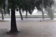 Minetti anuncia lluvias severas: nos queda atravesar el problema más serio