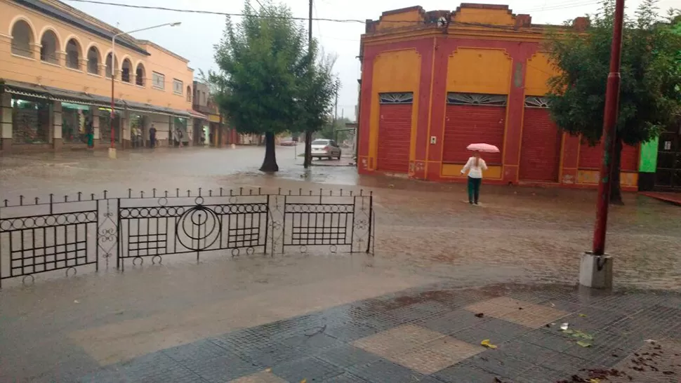 FOTO ENVIADA A TRAVÉS DE WHATSAPP