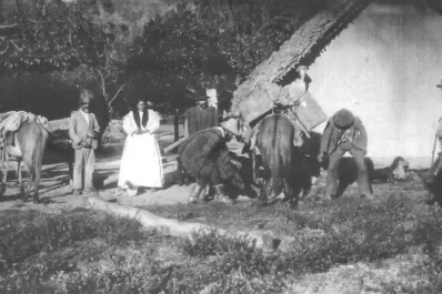 De carnavales tafinistos