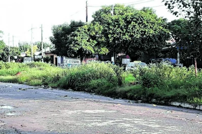 Vecinos de Villa Amalia protestan contra el abandono de una platabanda