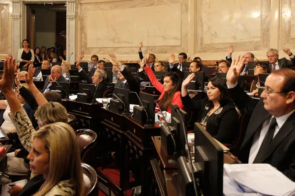 El Senado convirtió en ley el uso de cannabis con fines medicinales