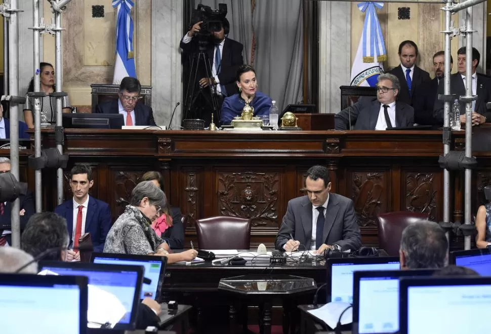 POR UNANIMIDAD. Los 58 senadores nacionales presentes votaron a favor de la sanción del proyecto de uso medicinal del aceite cannábico.  telam