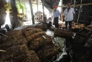 Producciones bajo el agua: “la ayuda debe ser para los minifundios”