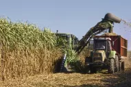 Por primera vez, la Argentina y Tucumán, sedes del Congreso Mundial de Técnicos Azucareros