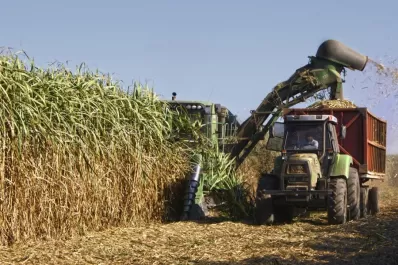 Por primera vez, la Argentina y Tucumán, sedes del Congreso Mundial de Técnicos Azucareros