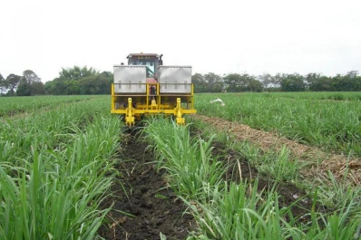 “Nada que envidiar sobre el manejo de tecnología en caña”