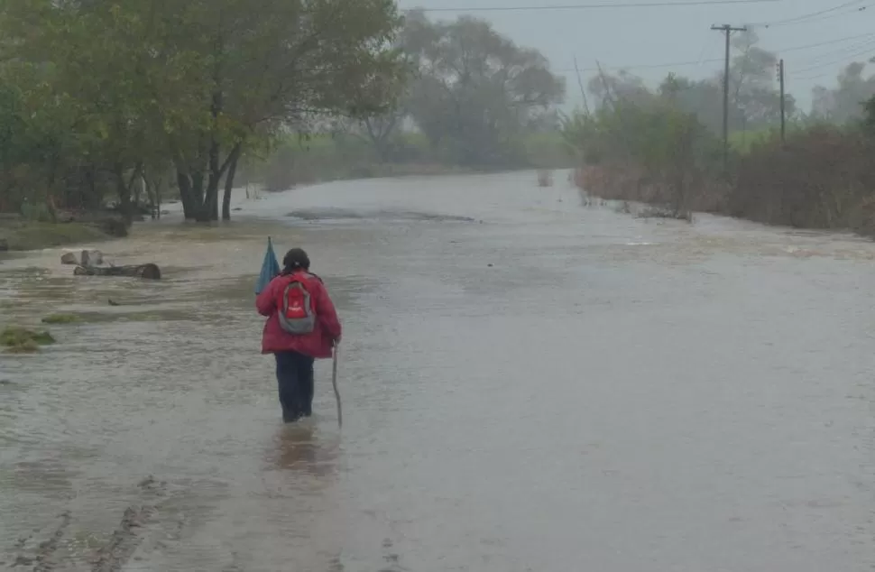  la gaceta / foto de osvaldo ripoll