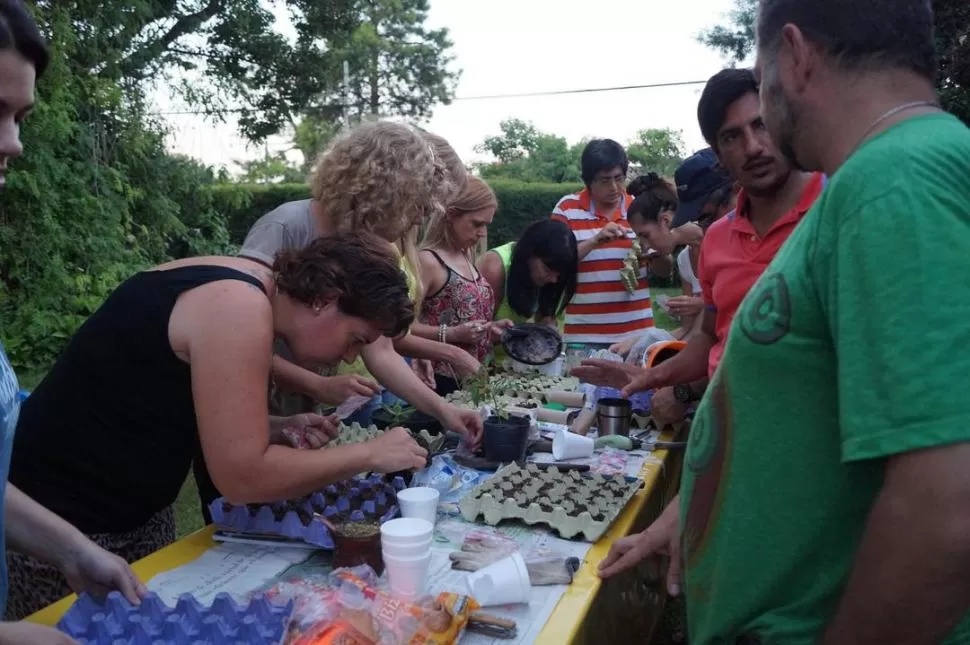 IN SITU. Los alumnos preparan las bandejas de lo que serán sus “huertas”.  