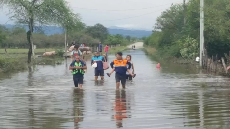 GENTILEZA DE LA POLICÍA. 