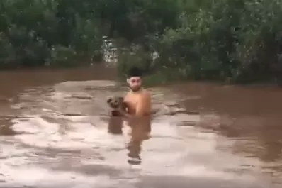 Video: en medio de las inundaciones, se metió al agua para rescatar a un perro
