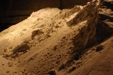 Manzur cierra filas en defensa de la actividad azucarera