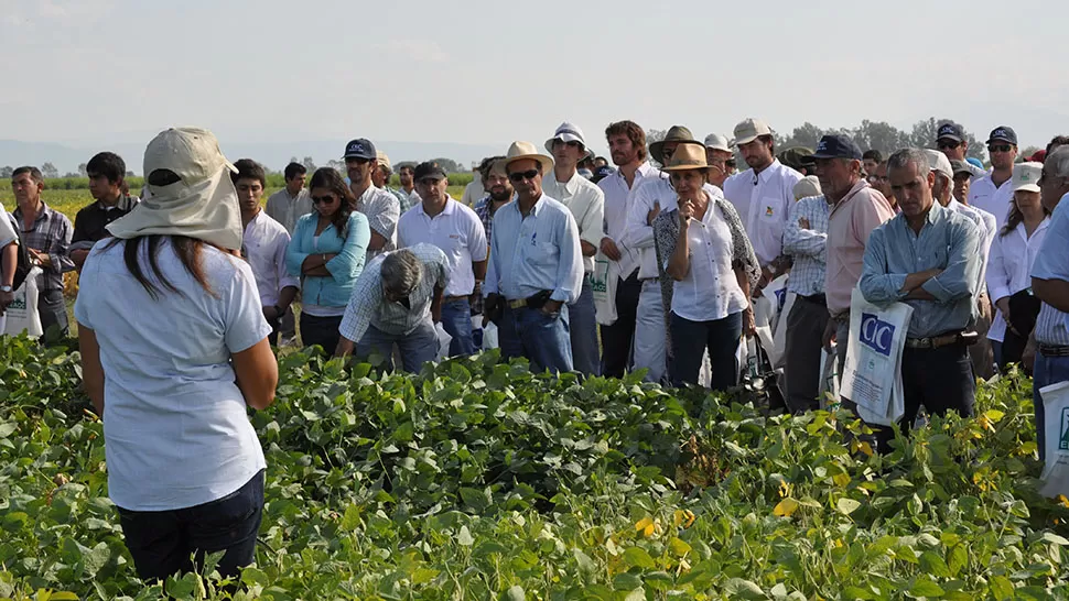 FOTO GENTILEZA EEAOC