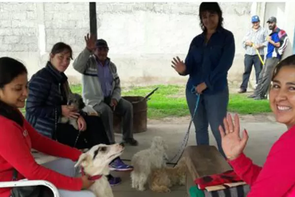 El Gobierno asistió a 300 animales víctimas del temporal en Tucumán