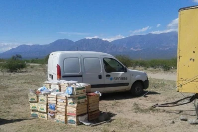 Mayor vigilancia para evitar el ingreso de la plaga al Valle