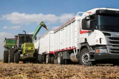 Impacto por el elevado costo del flete para productores del Norte