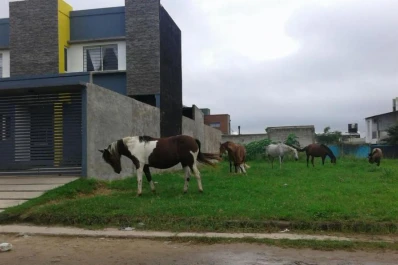 El riesgo de que circulen caballos sueltos en los barrios privados