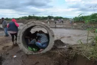 “Muchas cuencas tucumanas perdieron una gran defensa: los bosques ribereños”
