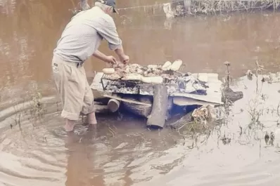 La foto de la semana