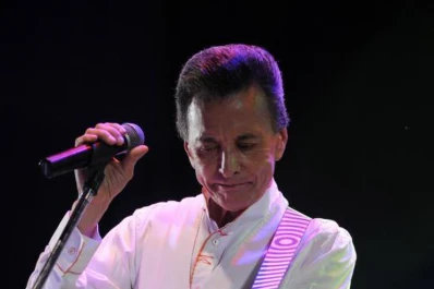 Palito Ortega será una personalidad ilustre de la cultura