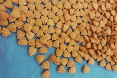Encontraron 42.000 pastillas de éxtasis en Jujuy