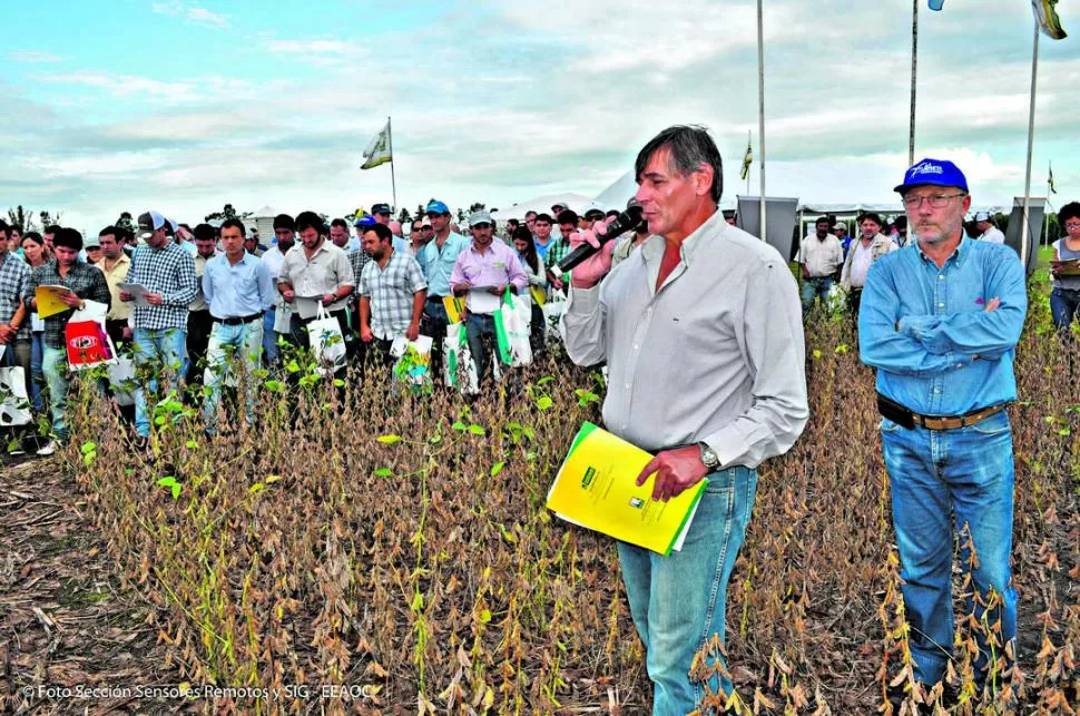 AVANCES. Los productores y técnicos, finalmente, pudieron participar del Día de Campo organizado por la Eeaoc para ver los ensayos presentados. eeaoc