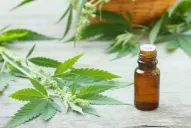 “Se probó que el cannabis es eficaz en casos de epilepsia”