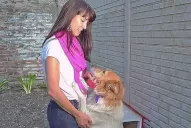 La mujer acusada de abandonar un perro vive una pesadilla