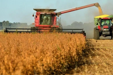 Los productores esperaban mejores rendimientos en soja