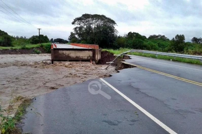 En Tucumán se establecieron zonas a desmontar, pero no se hizo un ordenamiento territorial