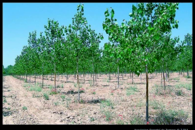 Hay que buscar soluciones definitivas