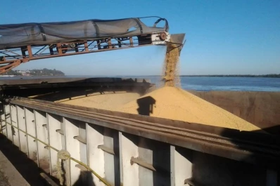 El cereal aporta U$S 1.623 millones adicionales a la Argentina