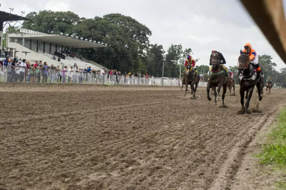 EN BUSCA DEL DISCO. El zaino Tabaco Man se escapó a tiempo para contener la carga de Evo de Oro en los metros finales. la gaceta / FOTO DE JORGE OLMOS SGROSSO