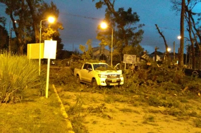 Yerba Buena: por el viento, ramas de dos árboles cayeron sobre una camioneta y una moto