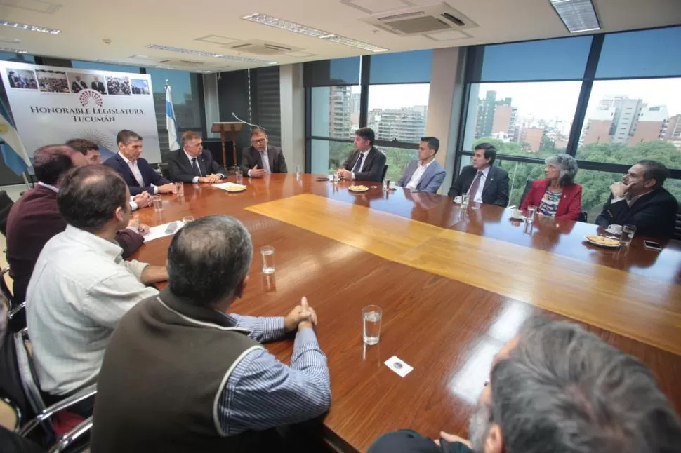 REUNIÓN DE PRESENTACIÓN. El vicegobernador Jaldo (a la cabecera) presidió ayer el encuentro en la sede legislativa con ingenieros, geólogos y otros expertos. Prensa Legislatura