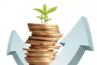 Hay un encanto por inversiones en pesos, frente a un dólar volátil