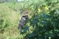 Buscan a una joven en Alderetes y temen otro caso de femicidio