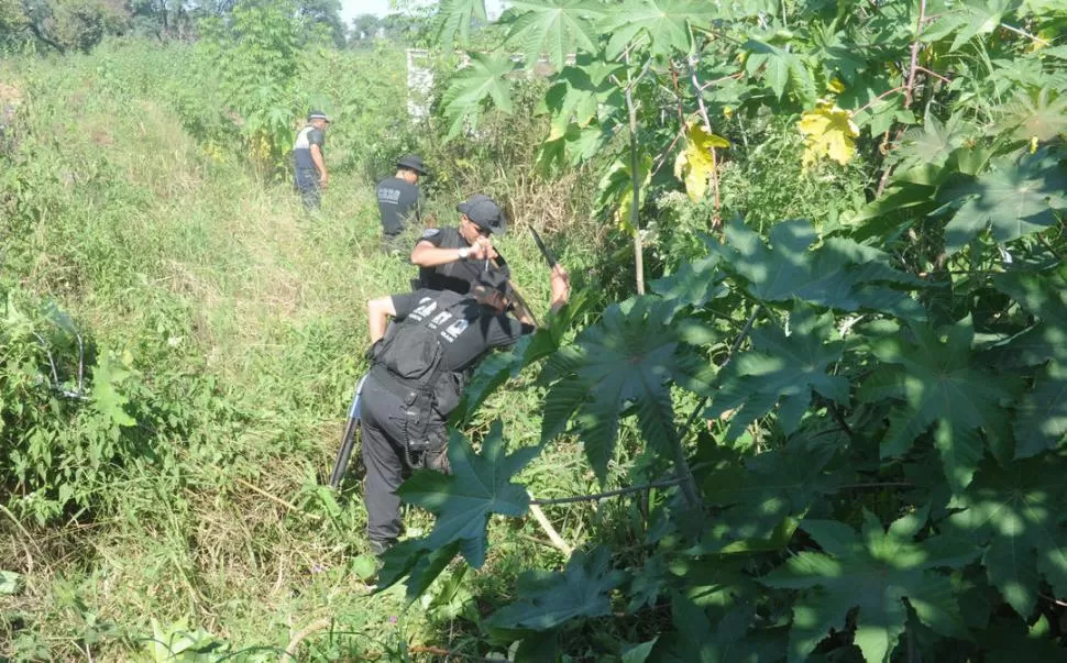 MACHETAZOS. Personal del Grupo Cero realiza un rastrillaje en una zona donde la maleza es muy densa. Hoy volverían, junto con perros de búsqueda. la gaceta / fotos de Antonio Ferroni 