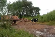 Desarmaron un segundo horno de ladrillos; temen que Daiana haya sido arrojada allí