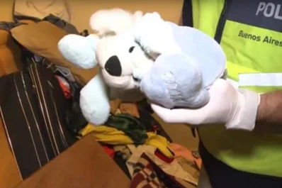Cayó una banda narco que encondía droga dentro de osos de peluche