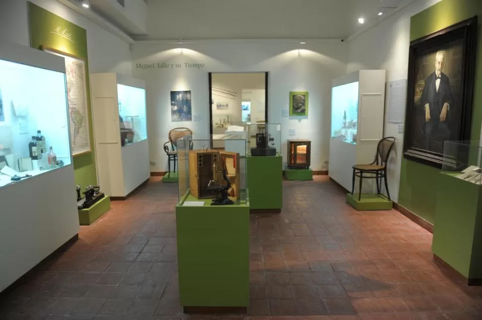 MUSEO MIGUEL LILLO. Se exhibe una flamante colección sobre el legado del sabio. 