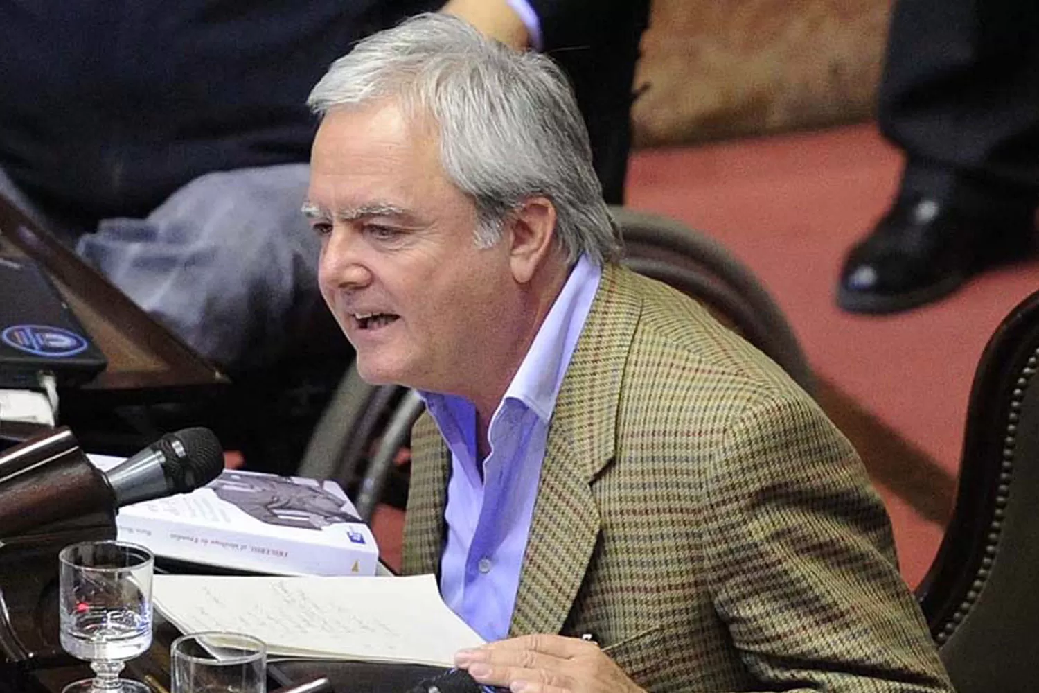 FEDERICO PINEDO. El presidente provisional del Senado. FOTO TOMADA DE LA NACION