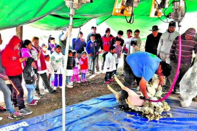 Desarrollan una experiencia innovadora sobre agregado de valor en ovinos