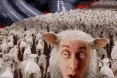 La era de los “imbéciles indignados”