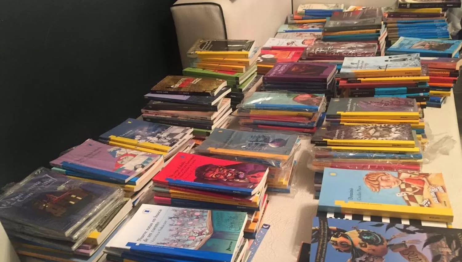 Parte de los libros que Ceferino Décima donará este viernes.